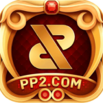 PP2 Game