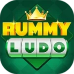 Rummy Ludo Game