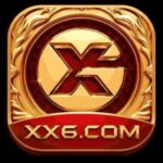XX6 Game
