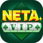 NETA VIP Game
